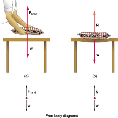 400x400 Normal, Tension, And Other Examples Of Forces College Physics