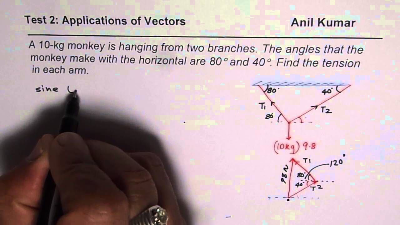 1280x720 Vector Application Tension In Arms Of Monkey