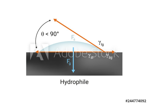 500x352 Vector Physics Scientific Icon Or Illustration Of Surface Tension
