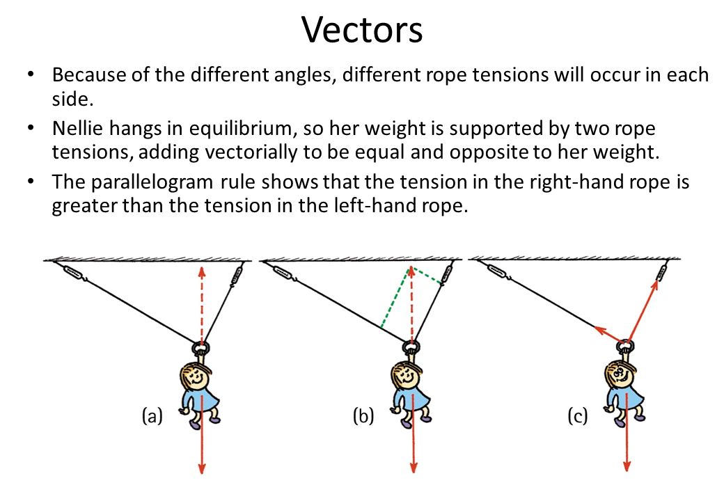 1040x720 Vectors Vector A Quantity That Requires Both Magnitude