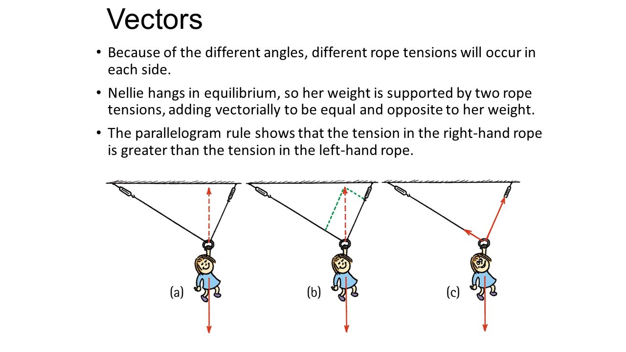 1280x720 Vectors Vector Quantity Has Magnitude And Direction Is