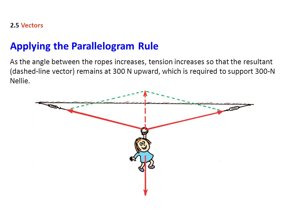 960x720 Mechanical Equilibrium Concepts Of Physics Courtesy Of Pearson