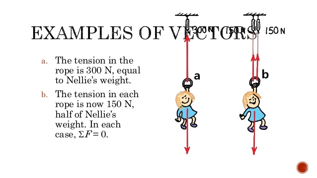 638x359 Chapter Mechanical Equilibrium Watson