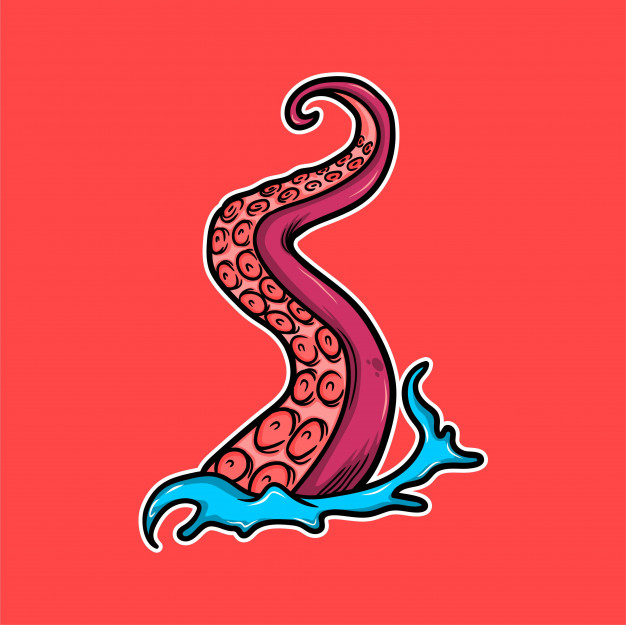 626x625 Octopus Tentacle Vector Premium Download