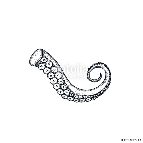 500x500 Octopus Tentacle Hand Drawn Isolated Icon Stock Image And Royalty