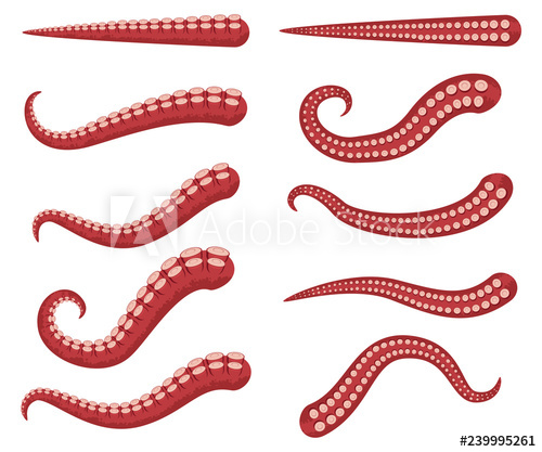 500x417 Octopus Tentacles Vector Cartoon Set Isolated On A White