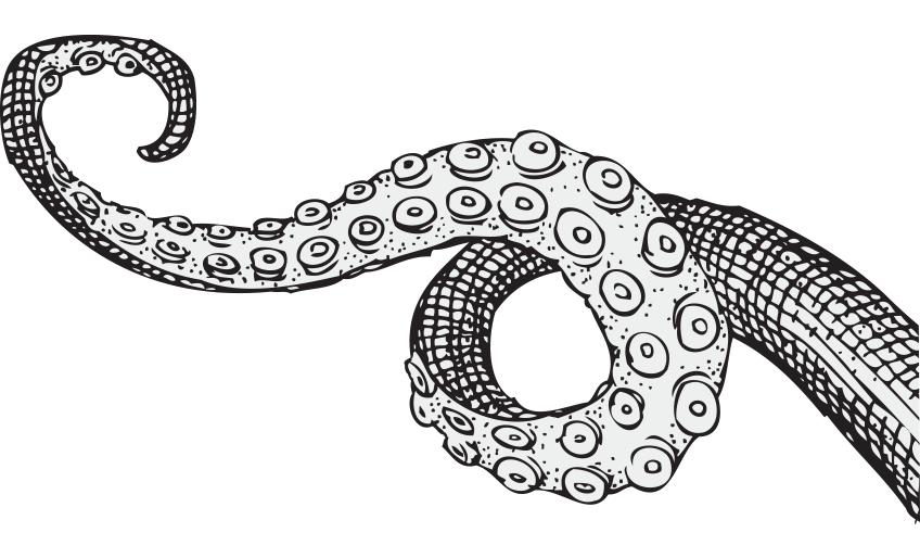 848x514 Resultado De Imagen Para Tentacles Line Art Vector Line Art