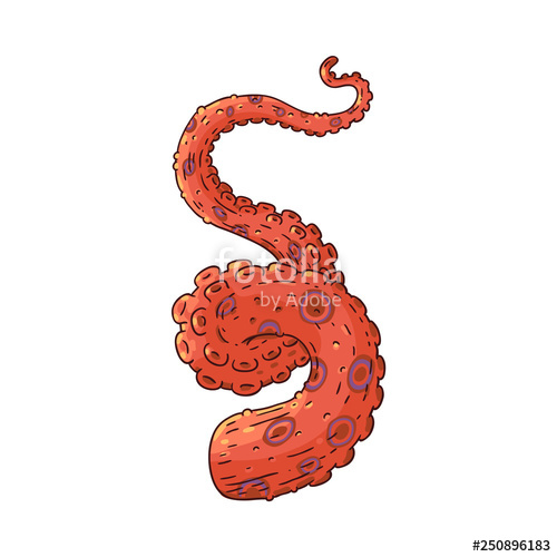 500x500 Vector Ocopus Or Squid Tentacle Sketch Icon Stock Image