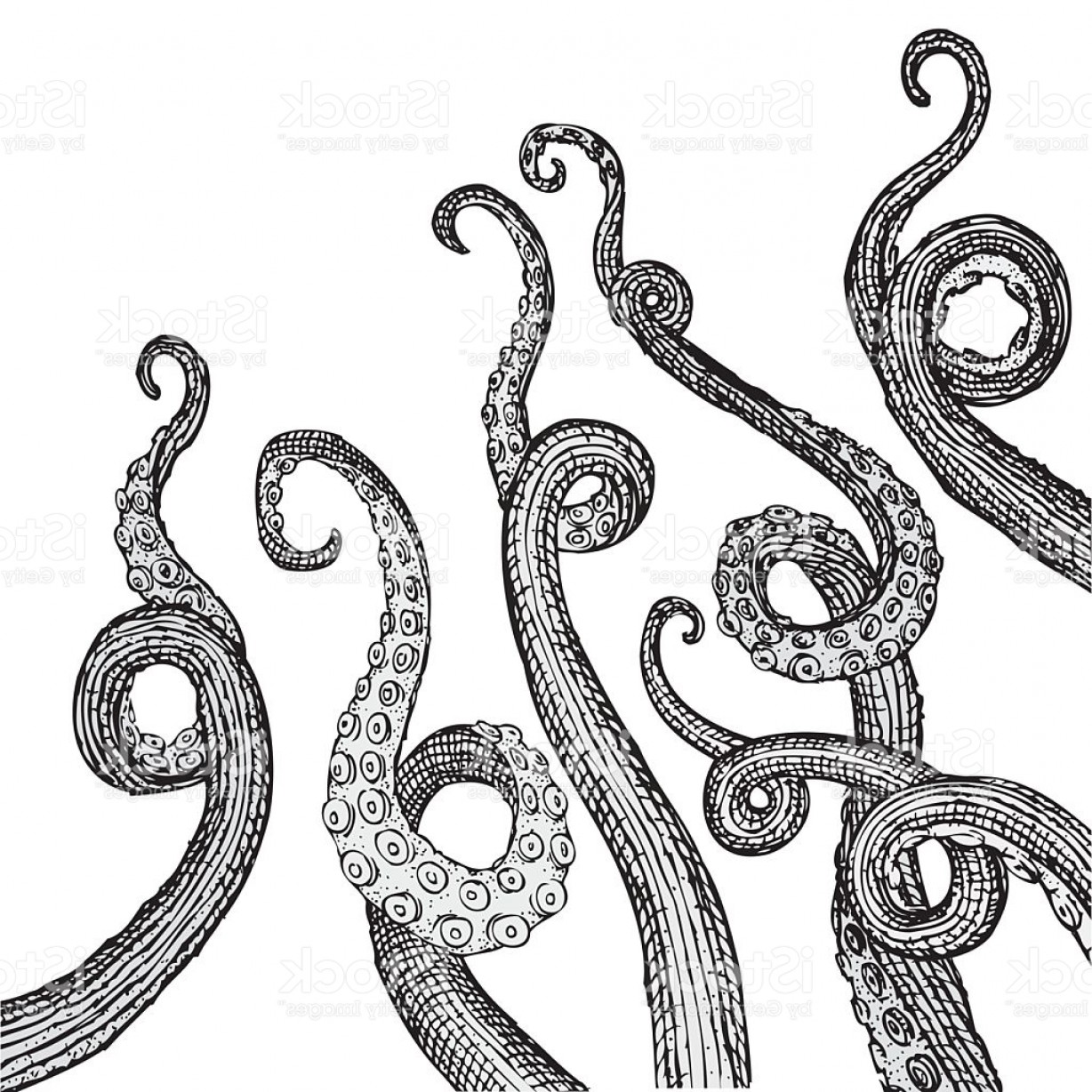 Tentacle Vector at Vectorified.com | Collection of Tentacle Vector free ...