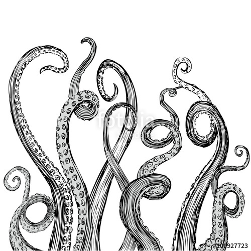 500x500 Hand Drawn Tentacle Illustration Stock Image And Royalty Free