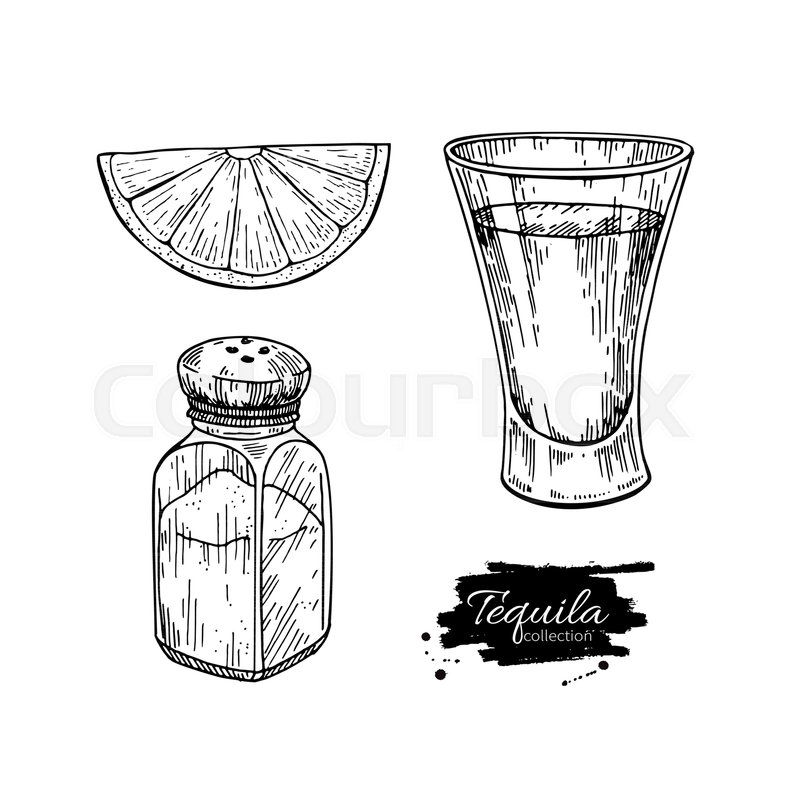 800x800 Tequila Shot Glass With Lime And Salt Stock Vector Colourbox