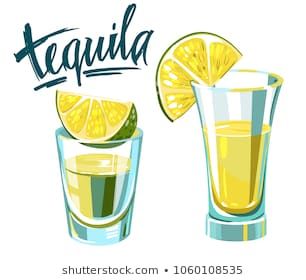 306x280 Tequila Shot With Lime Vector Illustration Canvas