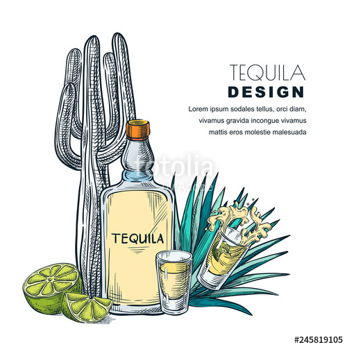 500x500 Tequila Sketch Vector Illustration Bar Menu, Label Or Package