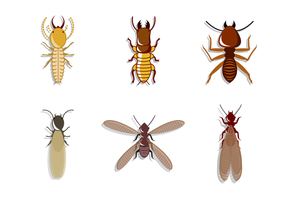 286x200 Termite Free Vector Art
