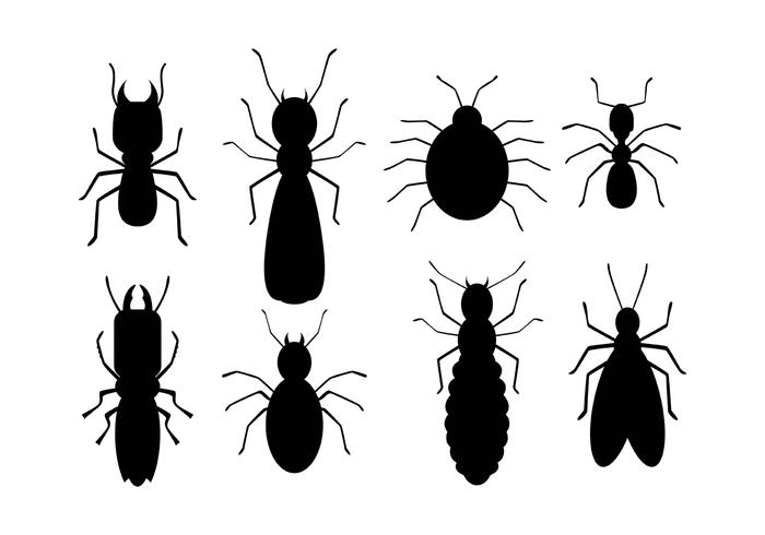 700x490 Termite Icons
