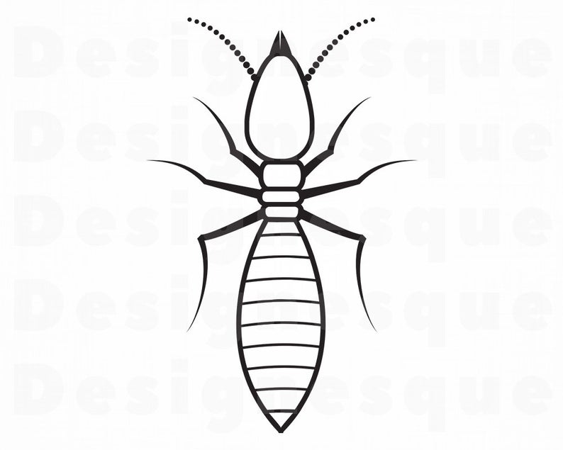 794x635 Termite Termite Clipart Termite For Cricut Etsy
