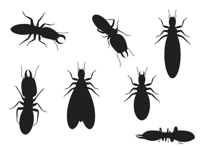 700x490 Termite Silhouette Vectors