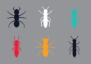 310x217 Termite Vector Icons Free Graphics Uihere