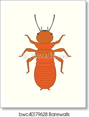 292x382 Termite Vector Insect, Art Print Barewalls Posters Prints