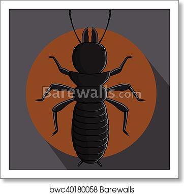 362x382 Black Termite Vector, Art Print Barewalls Posters Prints
