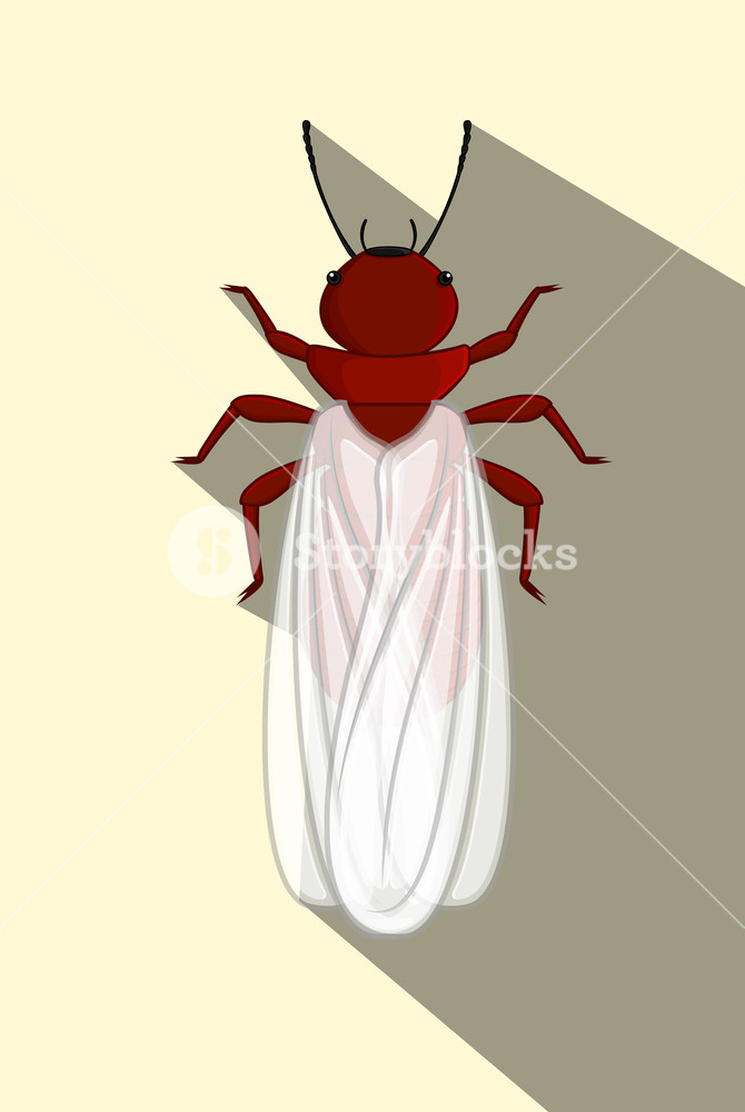 670x1000 Winged Termite Vector Illustration Royalty Free Stock Image
