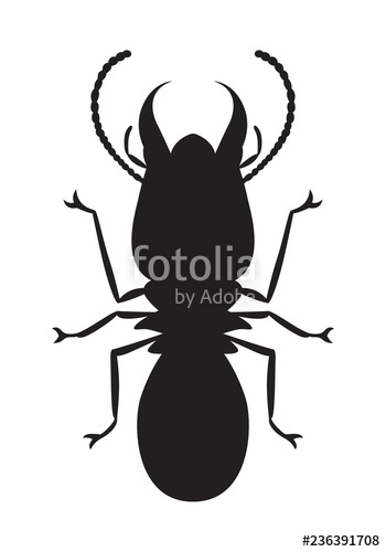 350x500 Graphic Termite, Vector Stock Image And Royalty Free Vector