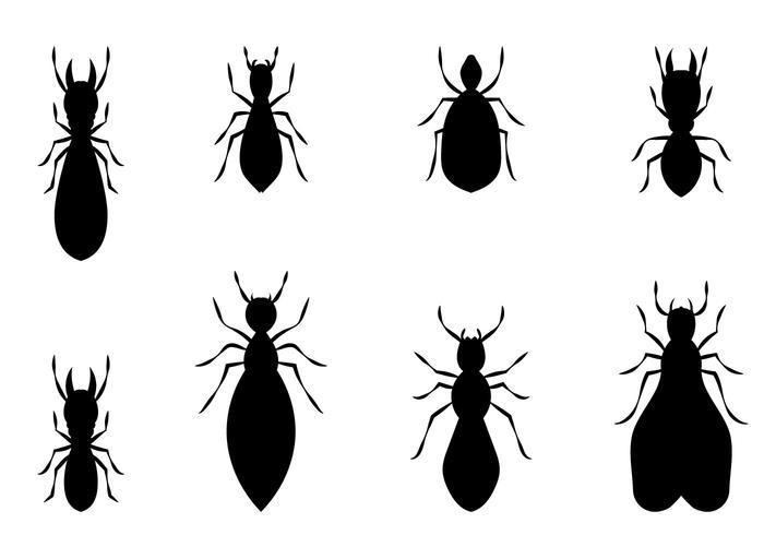 700x490 Free Termite Vector