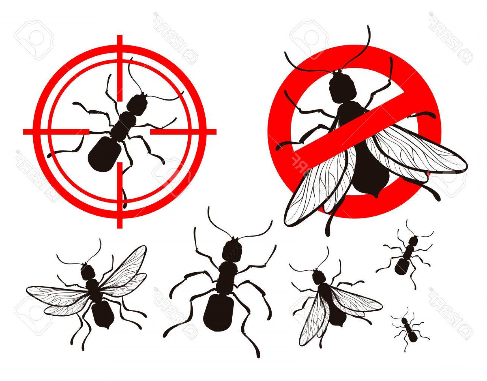 1560x1219 Photostock Vector Termite Or Ant Pest Control Icons Set Vector