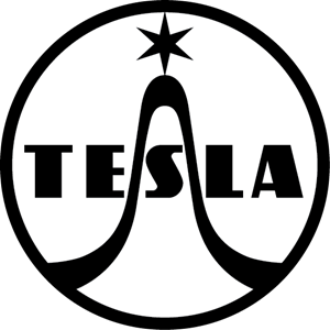 300x300 Tesla Logo Vectors Free Download