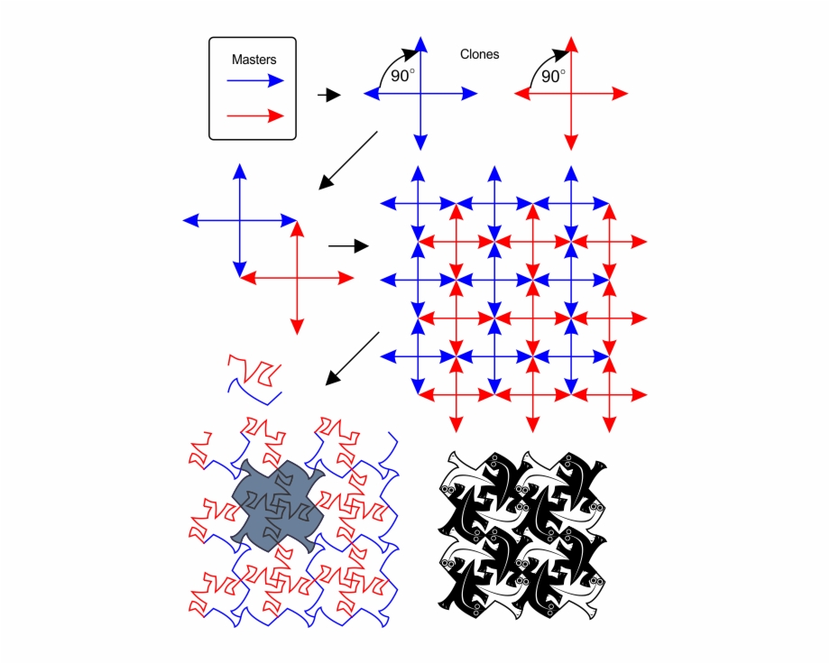 920x736 Escher Vector