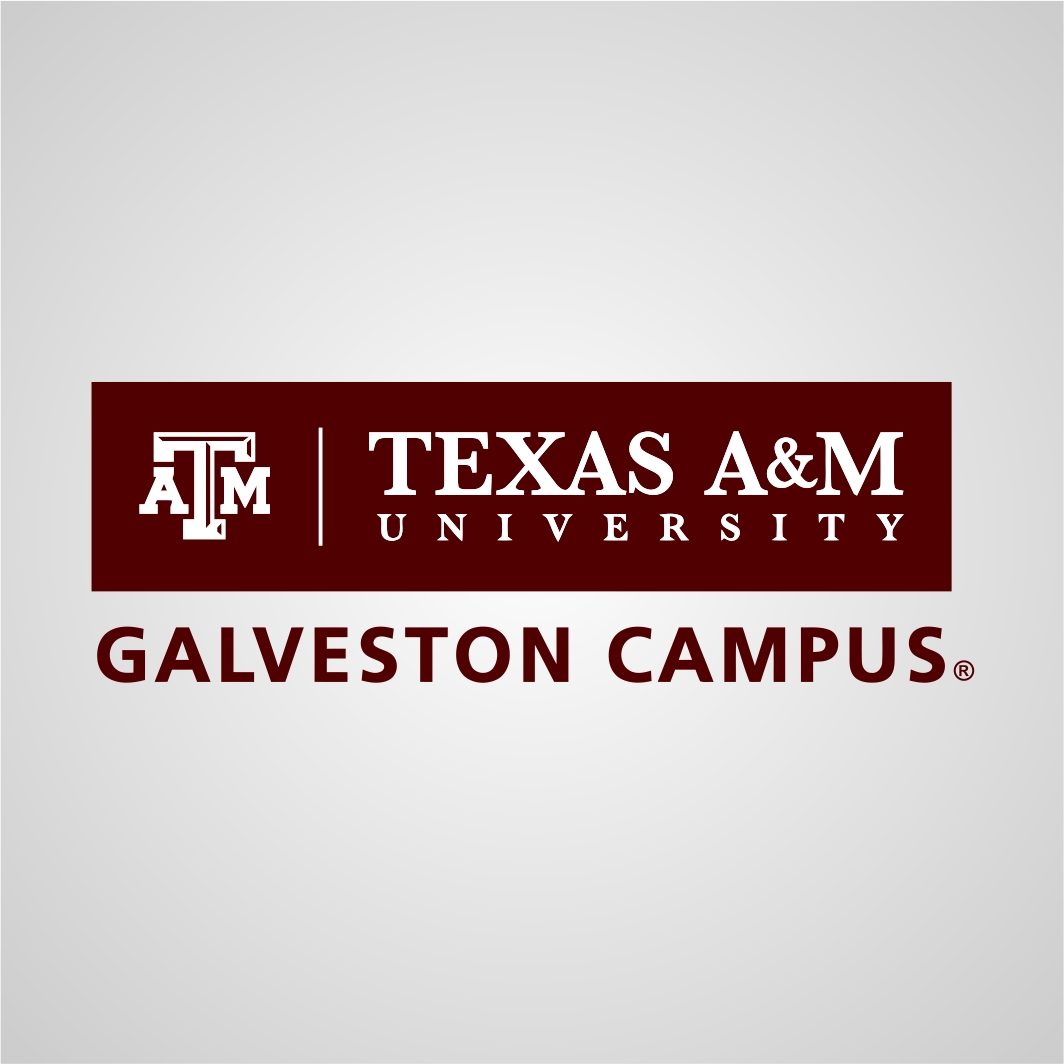 1064x1064 Atm Campus Texas Vector Imomia