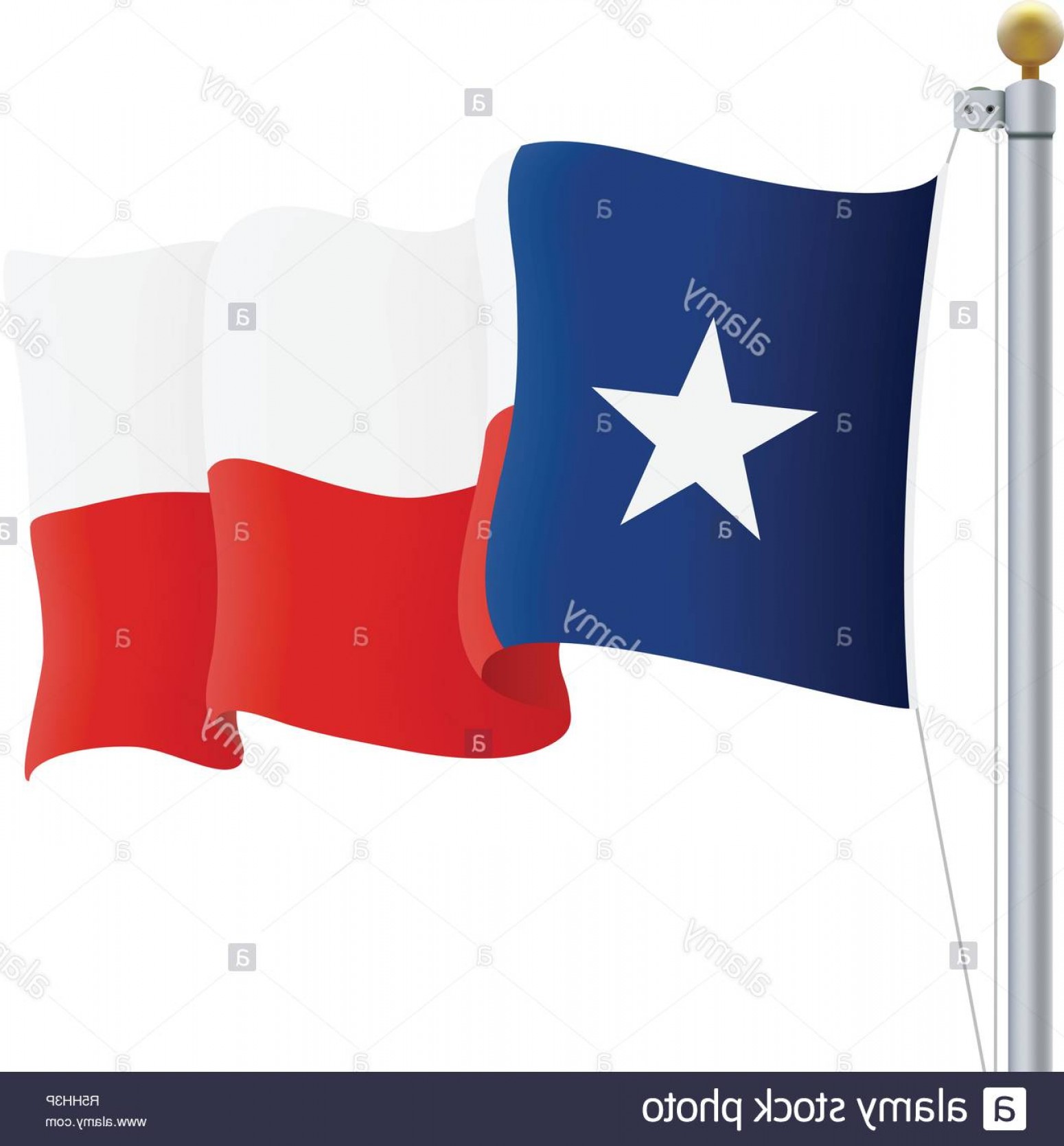 1550x1668 Waving Texas Flag Isolated On A White Background Vector