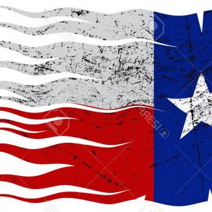 300x300 Texas Flag And Map Vectors Createmepink