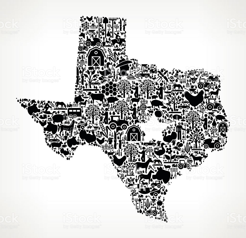 Texas Icon Vector at Vectorified.com | Collection of Texas Icon Vector ...