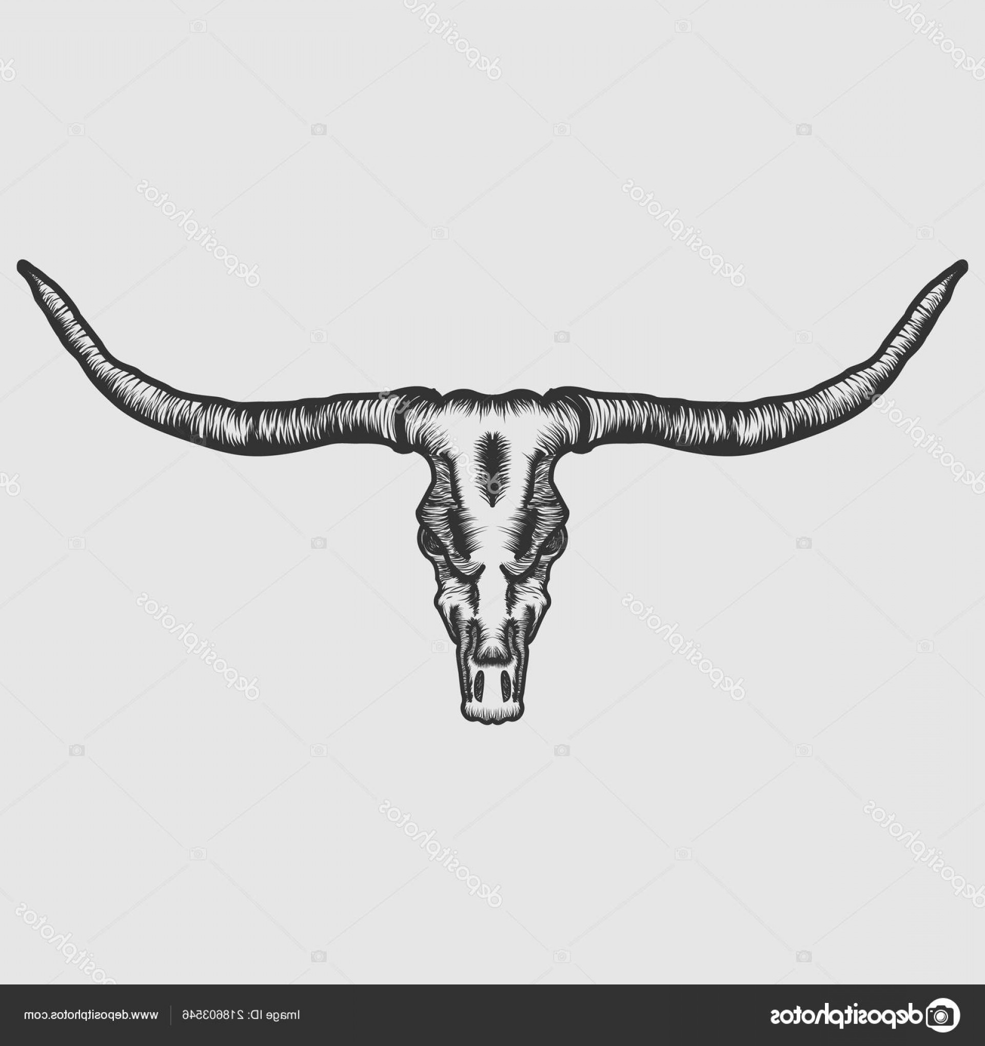Stock Illustration Longhorn Skull Vector Illustration Soidergi 1920x2040 Stock Illustration Longhorn Skull Vector Illustration Soidergi