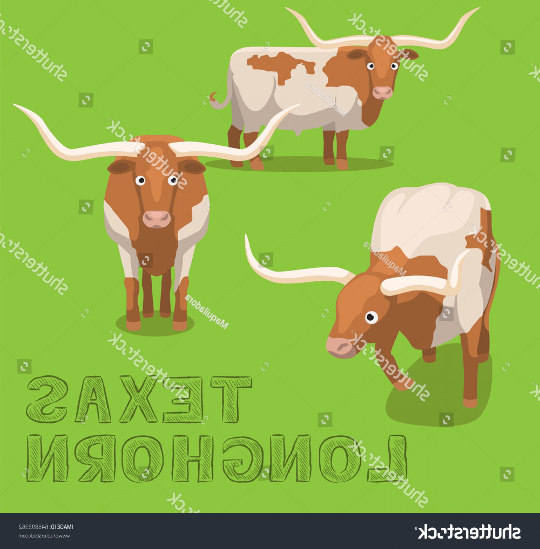 Cow Texas Longhorn Cartoon Vector Illustration Soidergi 1800x1830 Cow Texas Longhorn Cartoon Vector Illustration Soidergi