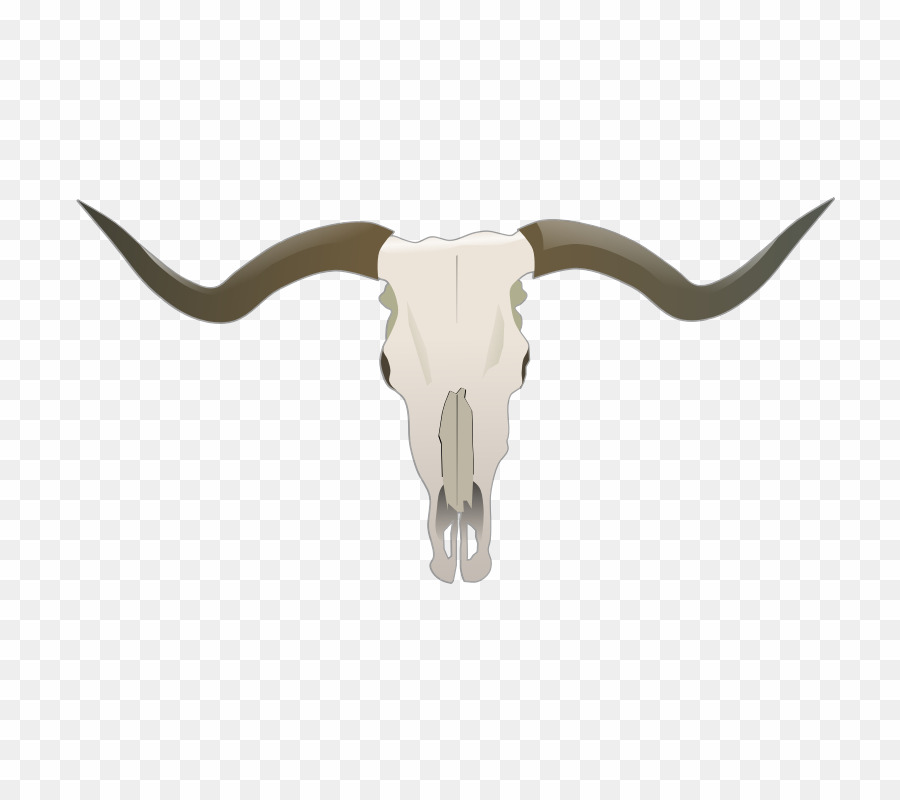 Longhorn Skull Vector Png Texas Longhorn English Longhorn Clipart 900x800 Longhorn Skull Vector Png Texas Longhorn English Longhorn Clipart