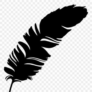 Texas Silhouette Vector