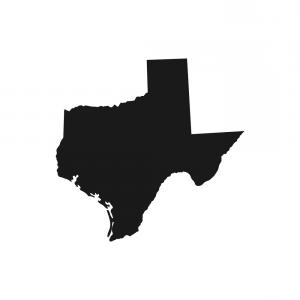 300x300 Photostock Vector Texas American State With Flag Silhouette