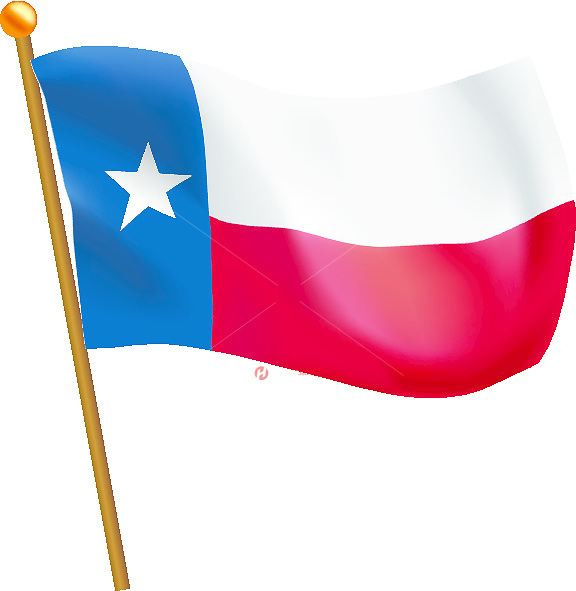 576x591 Texas State Flag