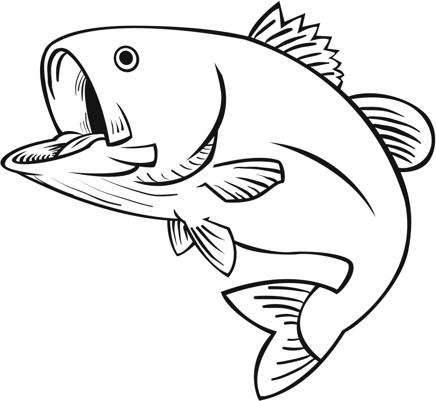 892x820 Fish Clip Art Vector Free Clipart Images