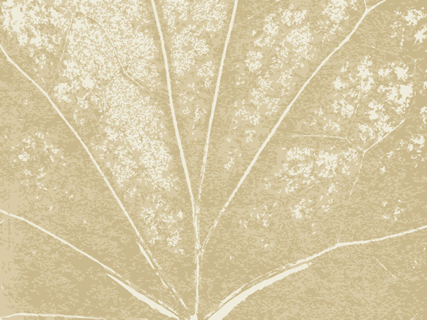 600x450 Texture And Background