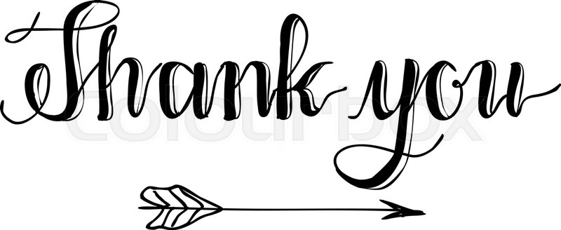 800x328 Thank You Hand Written Words Stock Vector Colourbox