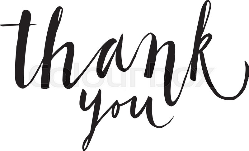 800x485 Hand Drawn Lettering Thank You Stock Vector Colourbox