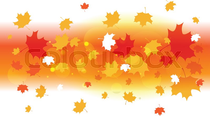 800x441 Autumnthanksgiving Background Poster Stock Vector Colourbox