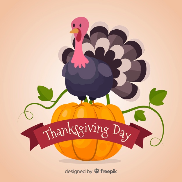 626x626 Thanksgiving Turkey Vectors, Photos And Free Download