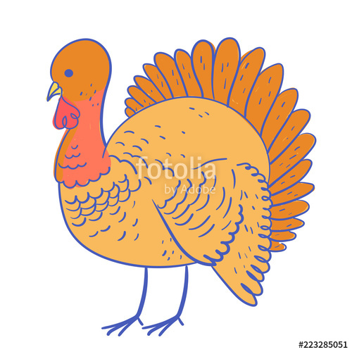 500x500 Turkey Vector Illustration, Thanksgiving Character Stock Image