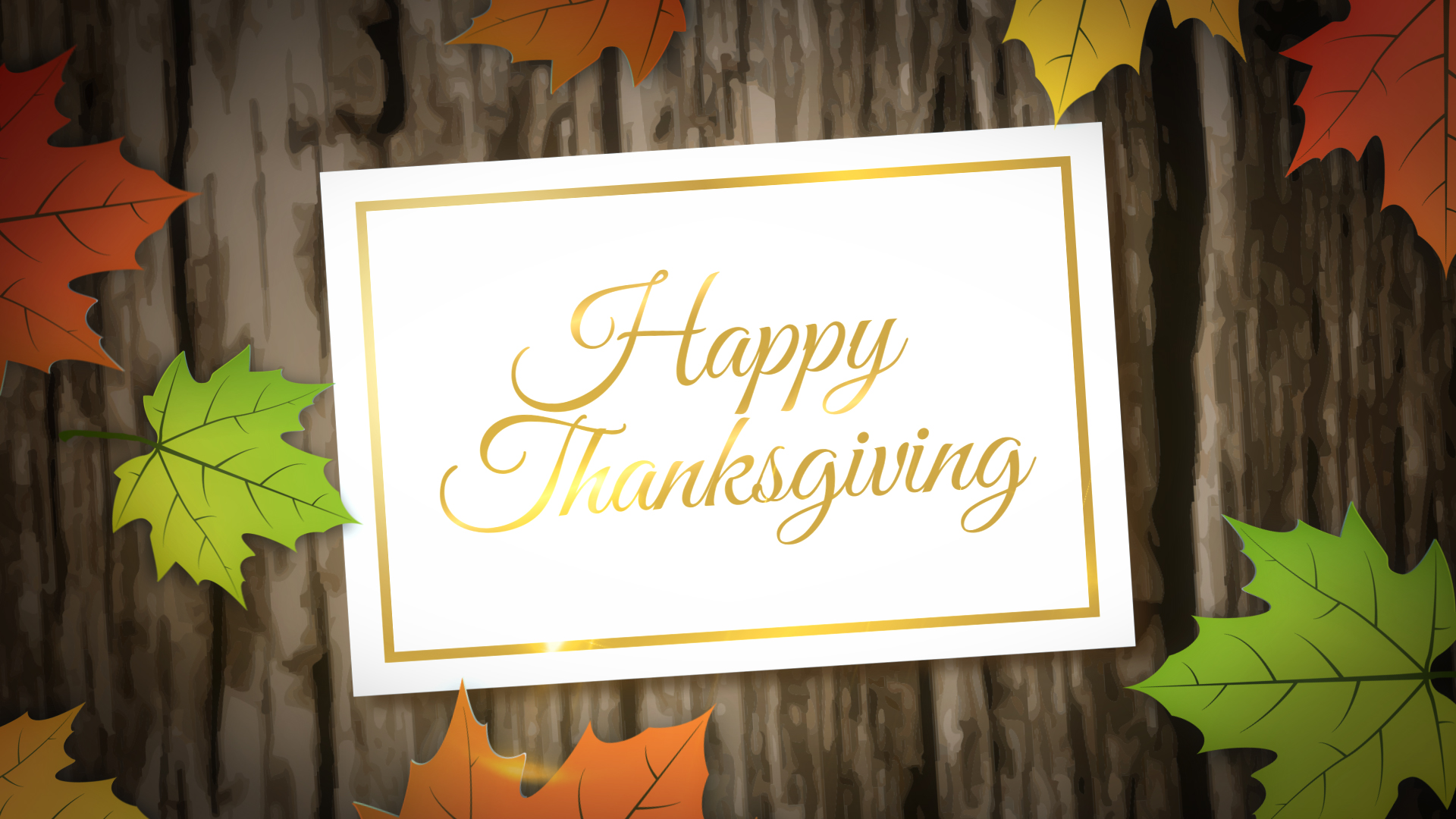 1920x1080 Free Thanksgiving Vector Graphics, After Effects Templates Video