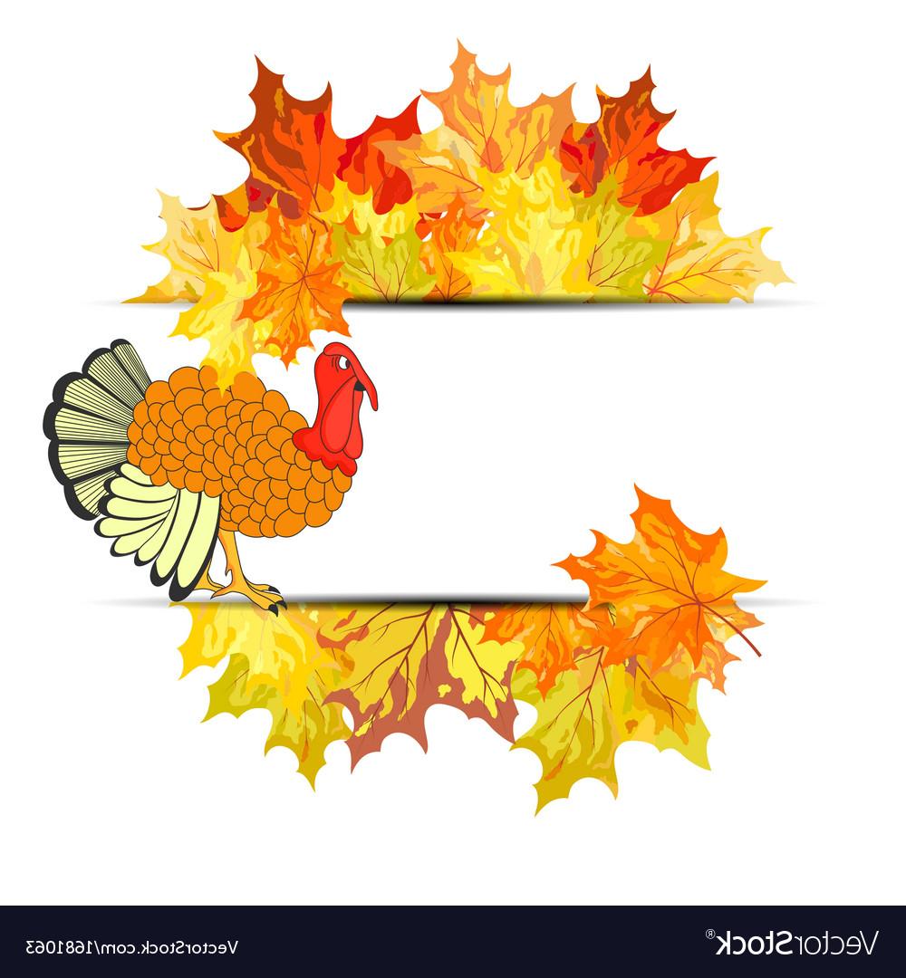 1000x1080 Top Thanksgiving Leaves Transparent Vector Image Vector Images