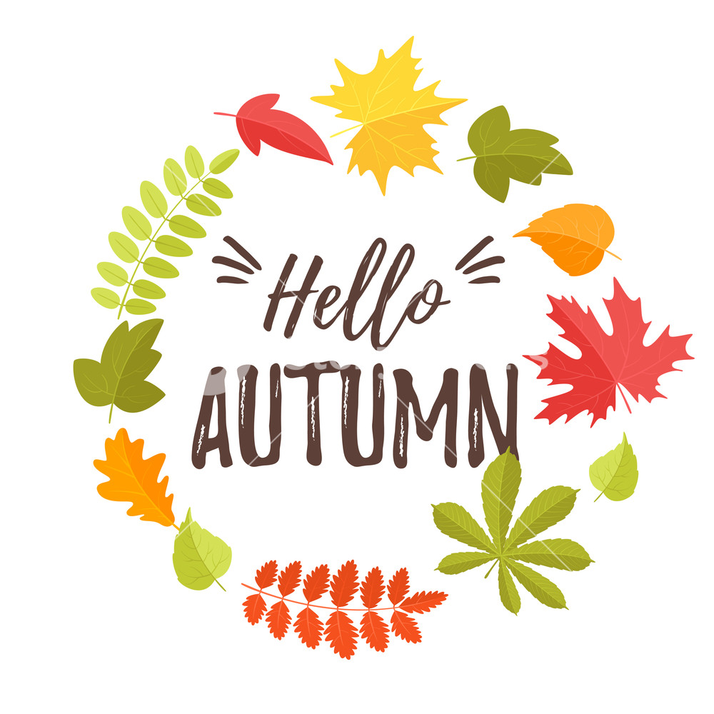 1000x1000 Vector Cartoon Style Fall Design For Season Postcard Or Poster